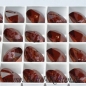 Preview: Swarovski Herz Pendant 6228 14,4mm x 14mm crystal red magma (1 Stück)