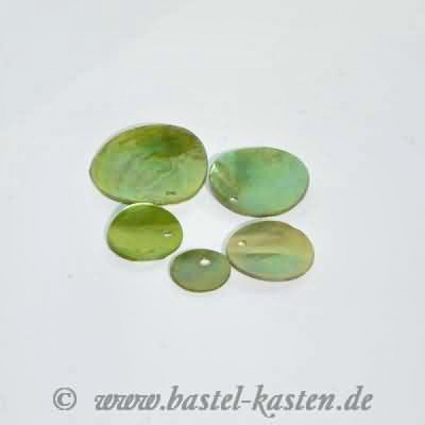 Scheiben aus echtem Perlmutt 15 mm  grün (7 Stück)